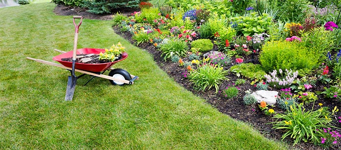 Gardening Services London, Gardening London, Gardening Specialist, Gardener London